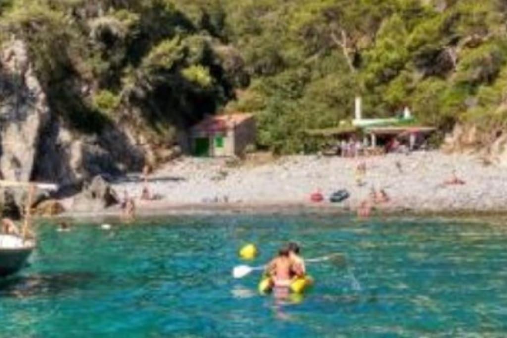 Piscina Playa Wifi Cozy Home Tax Free Palamós Exteriér fotografie